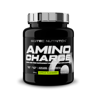 AMINO CHARGE (570 GR.)